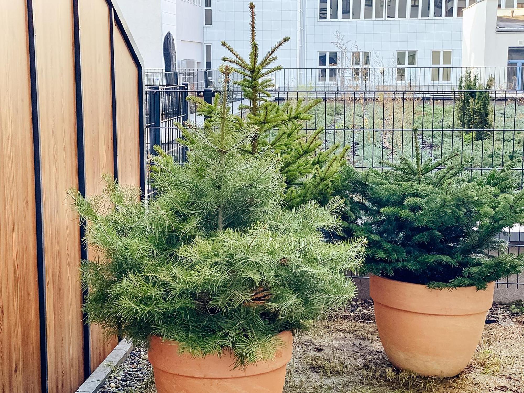 One Apartamenty Gasiorowskich 4 Poznań Esterno foto
